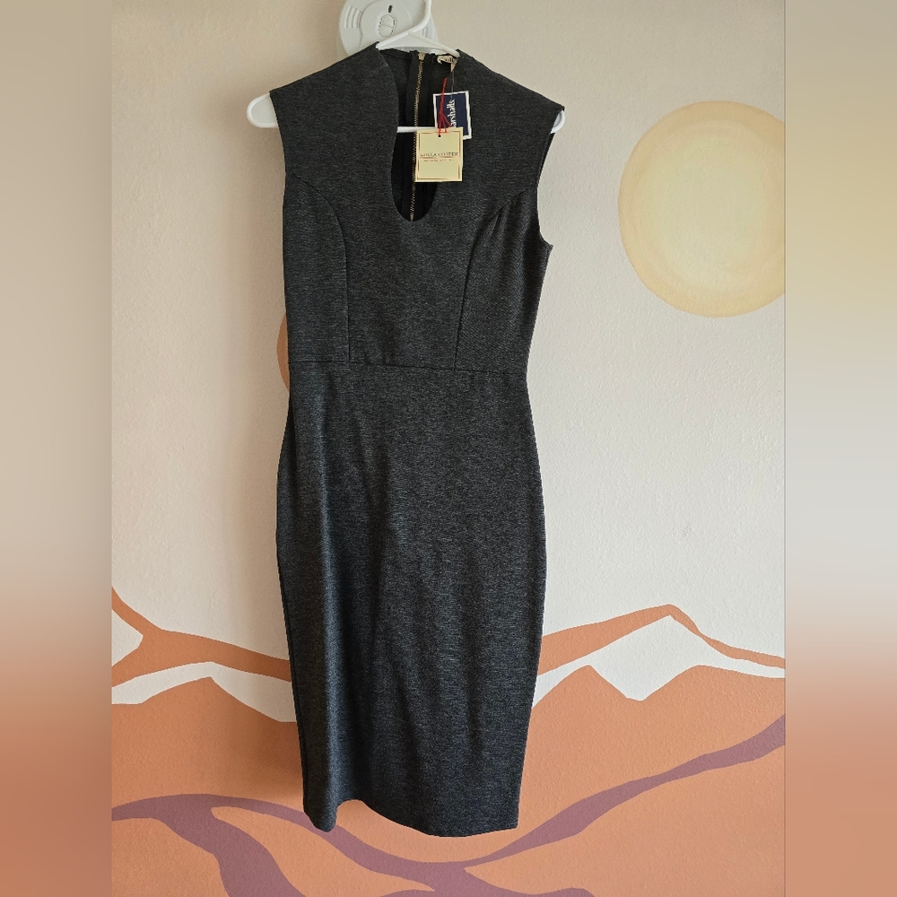 NWT Bodycon Dress size M